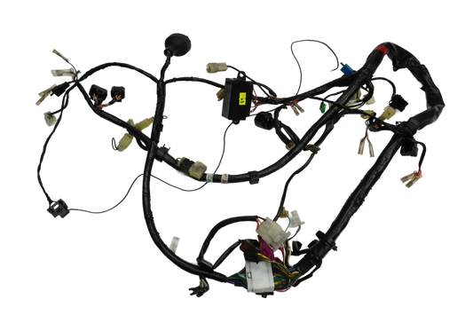 YAMAHA FZS FAZER 600 00-01 Kabelbaum Wiring Harness 1