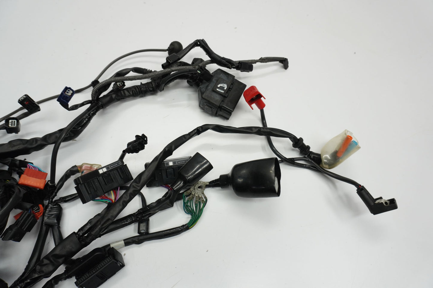 TRIUMPH STREET TRIPLE 765 17-19 Kabelbaum Wiring Harness 7