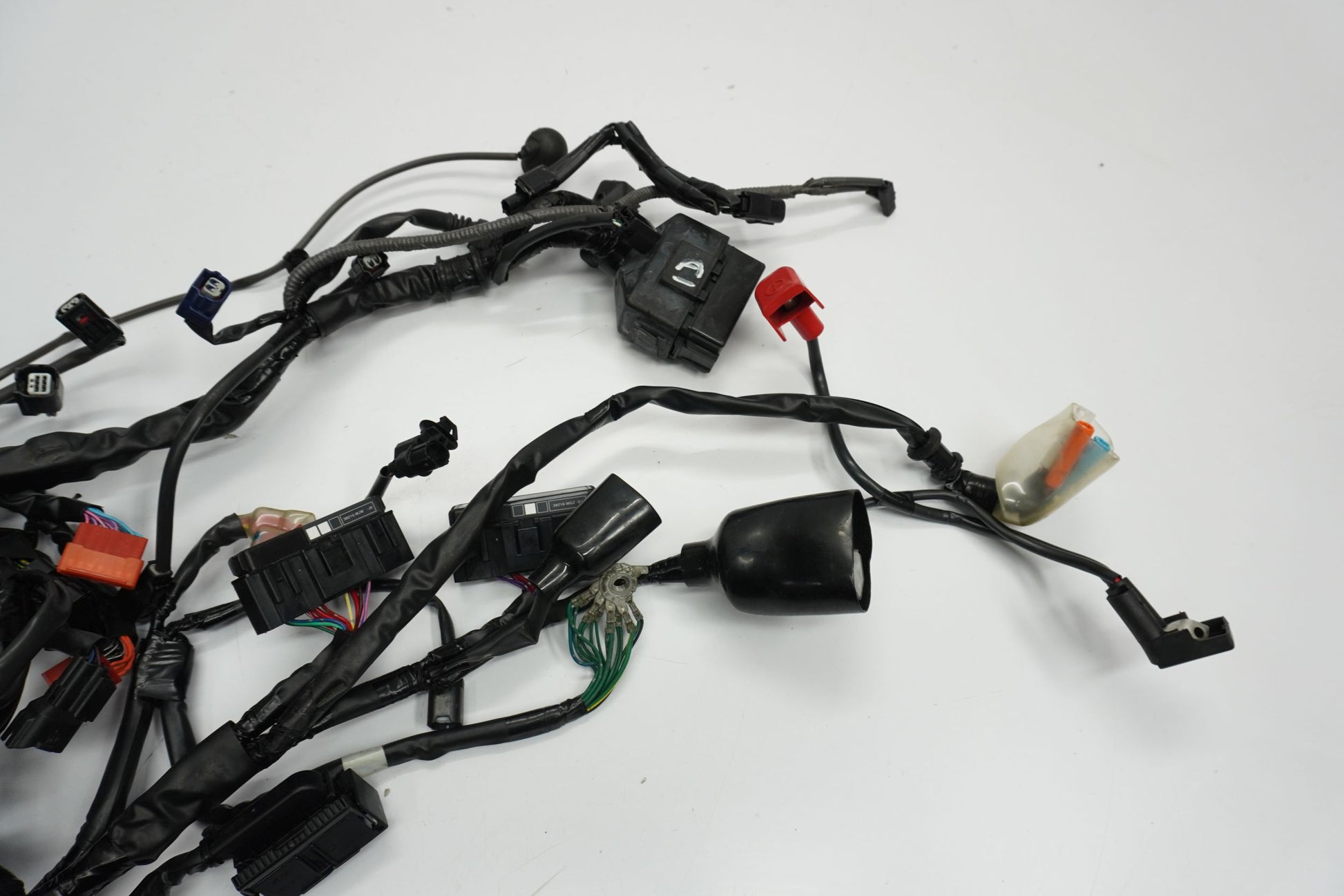 TRIUMPH STREET TRIPLE 765 17-19 Kabelbaum Wiring Harness 7