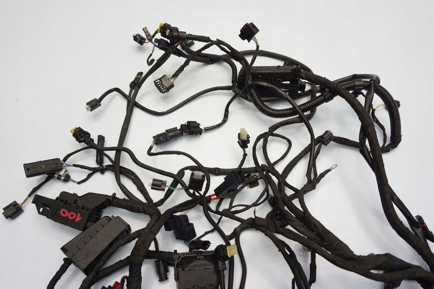 BMW F 900 R 20- Kabelbaum Wiring Harness 13