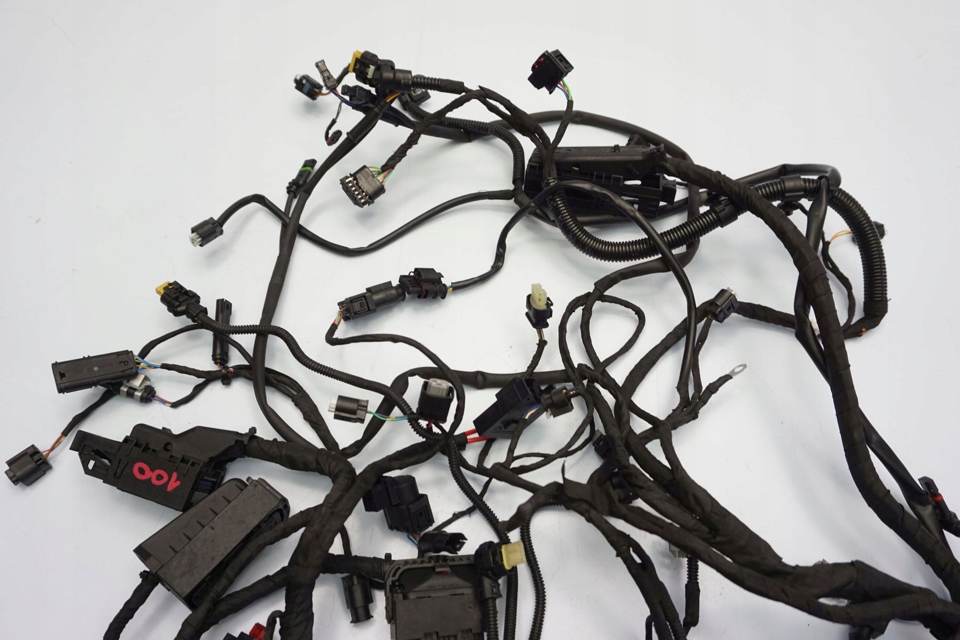 BMW F 900 R 20- Kabelbaum Wiring Harness 13