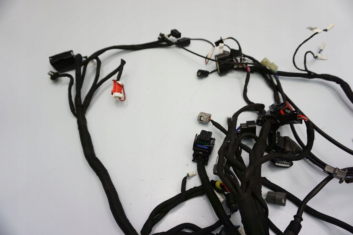 MV AGUSTA BRUTALE 800 16- Kabelbaum Wiring Harness 11