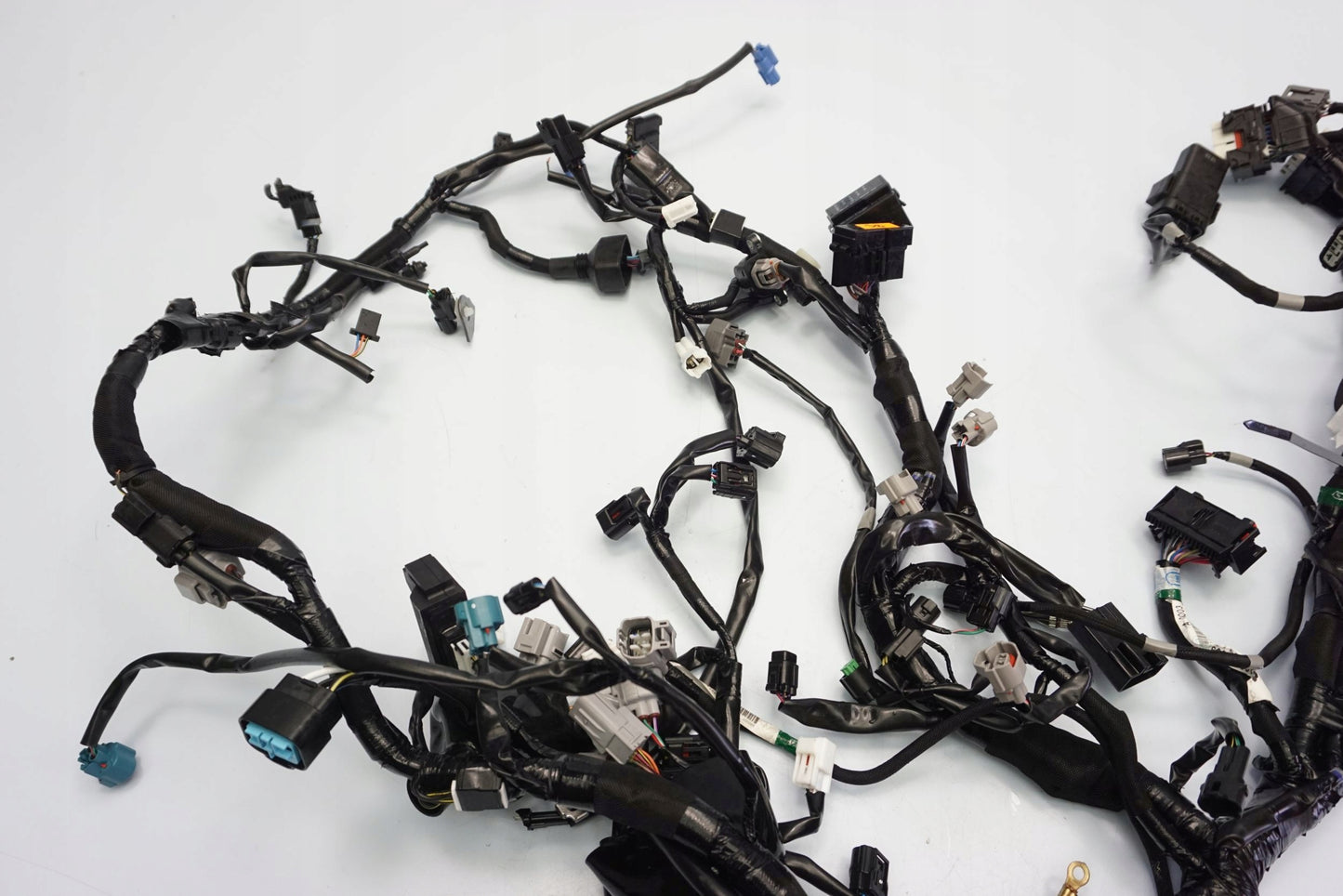 KAWASAKI NINJA 1000 SX 20- Kabelbaum Wiring Harness 6