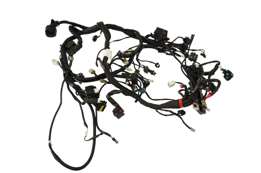 DUCATI MULTISTRADA 950 19- Kabelbaum Wiring Harness 1