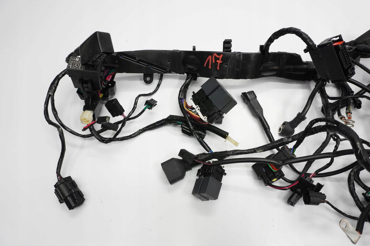 TRIUMPH STREET TRIPLE 660 S 17- Kabelbaum Wiring Harness 5