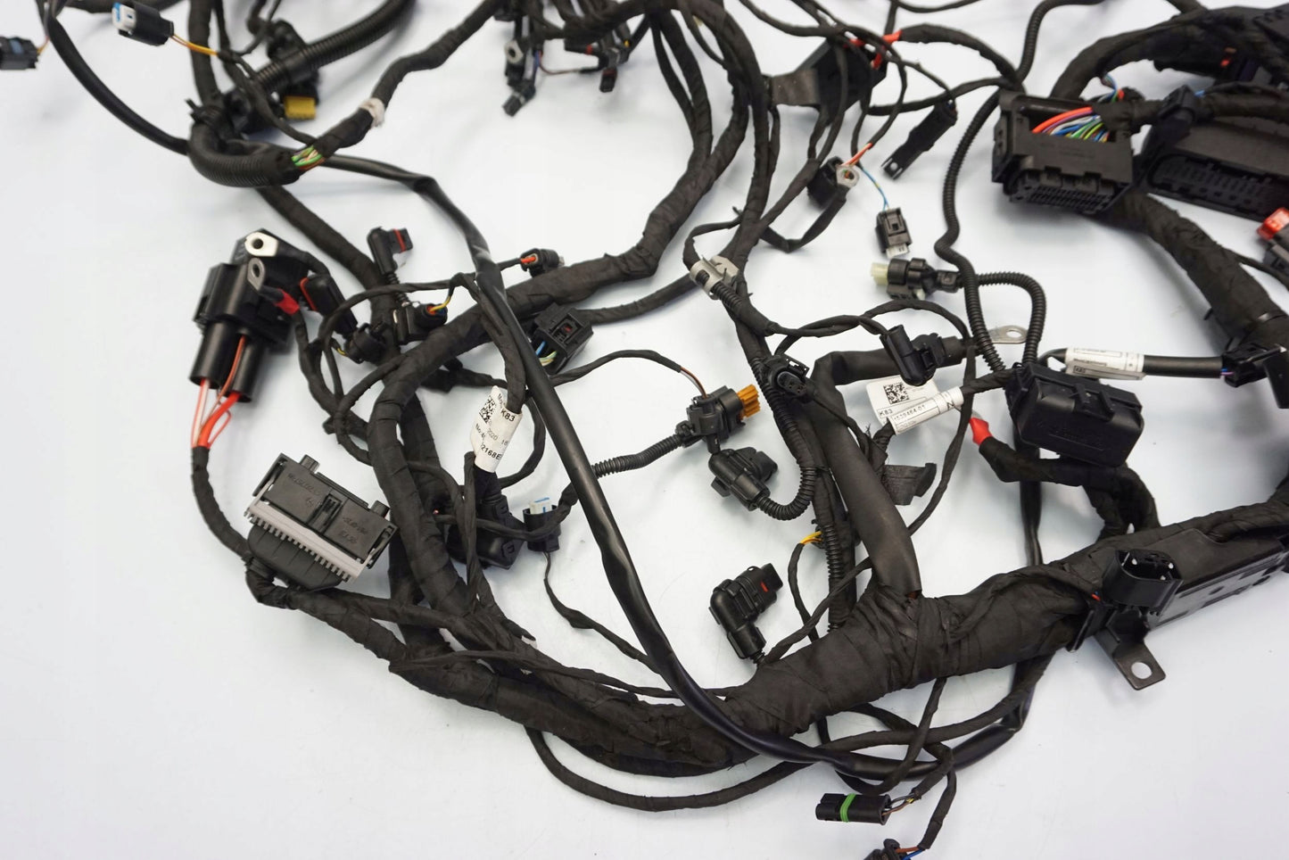 BMW F 900 R 20- Kabelbaum Wiring Harness 8