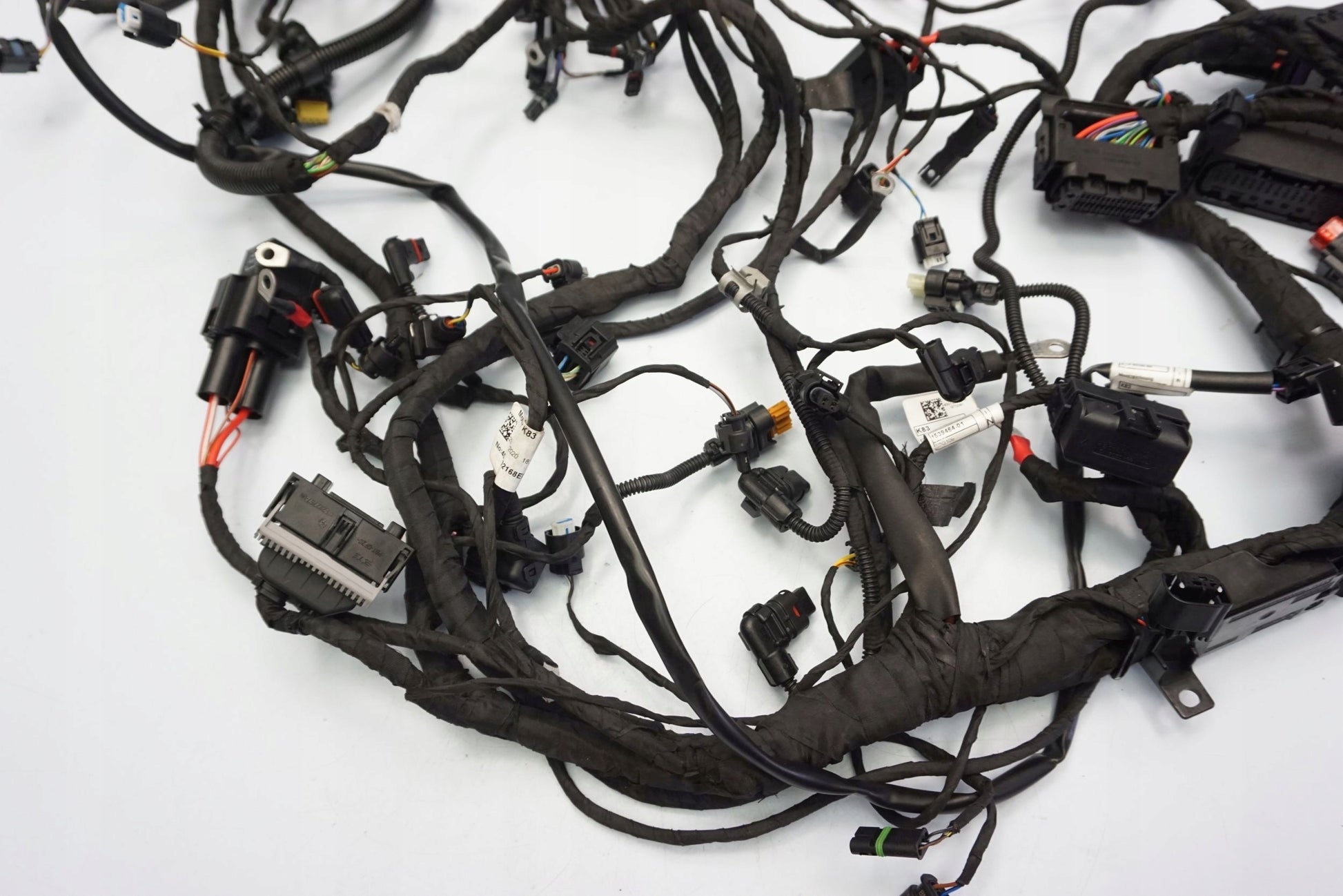 BMW F 900 R 20- Kabelbaum Wiring Harness 8