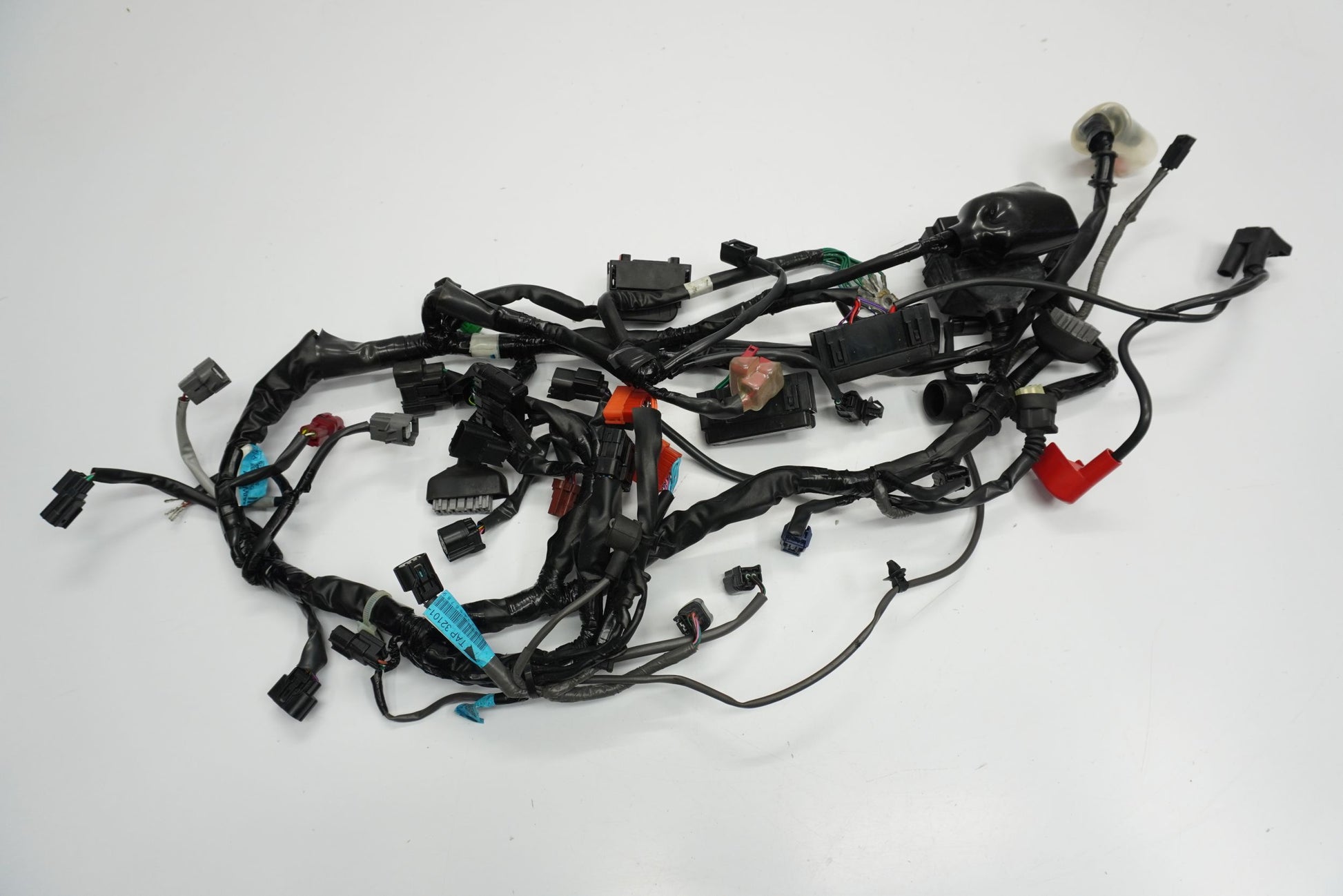 TRIUMPH STREET TRIPLE 765 17-19 Kabelbaum Wiring Harness 10