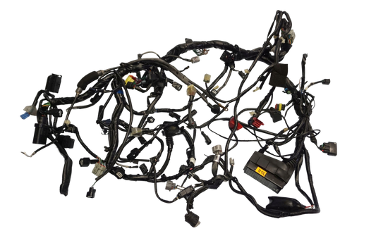 HONDA X-ADV 750 17- Kabelbaum Wiring Harness 1