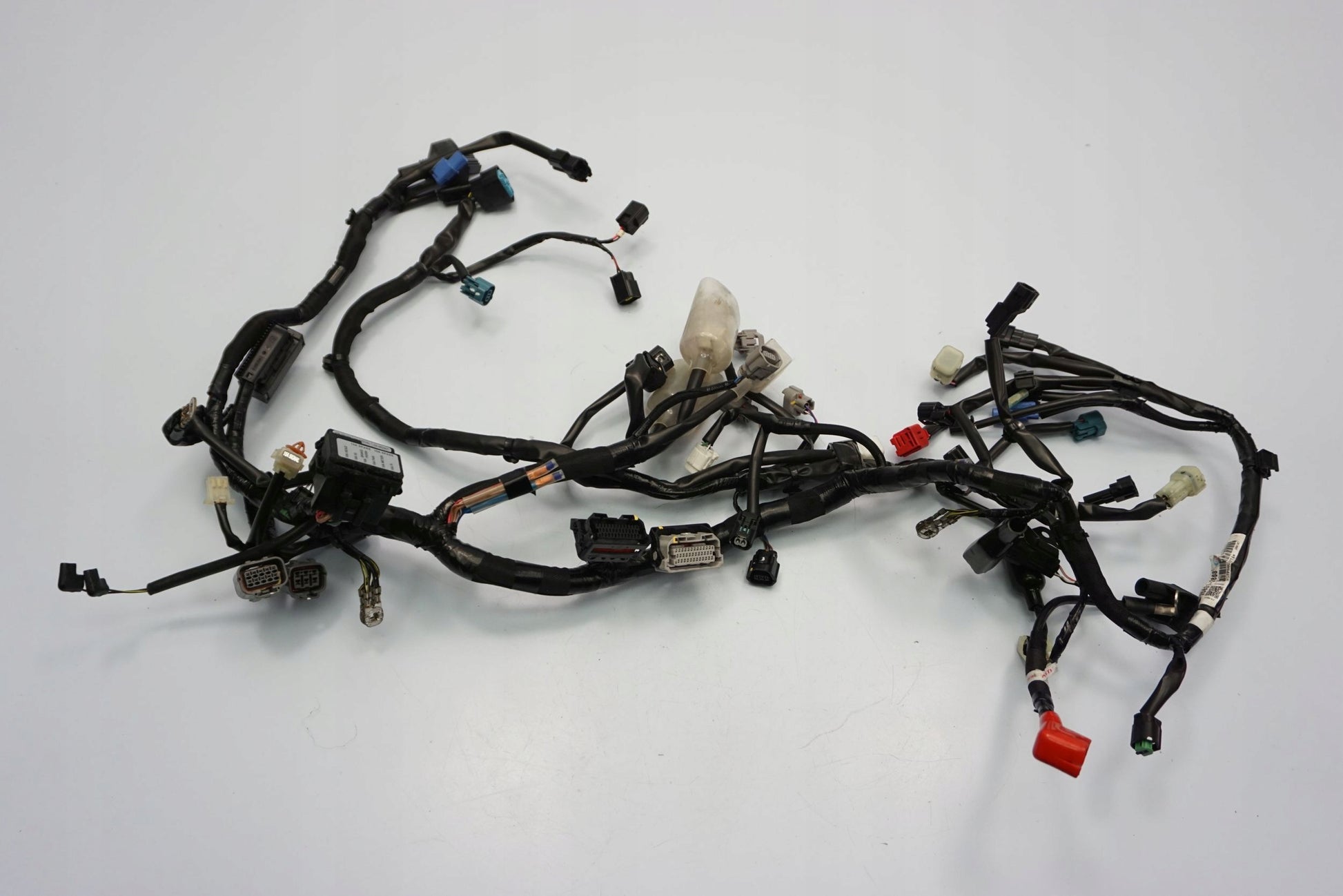 KAWASAKI Z 650 20-22 Kabelbaum Wiring Harness 10