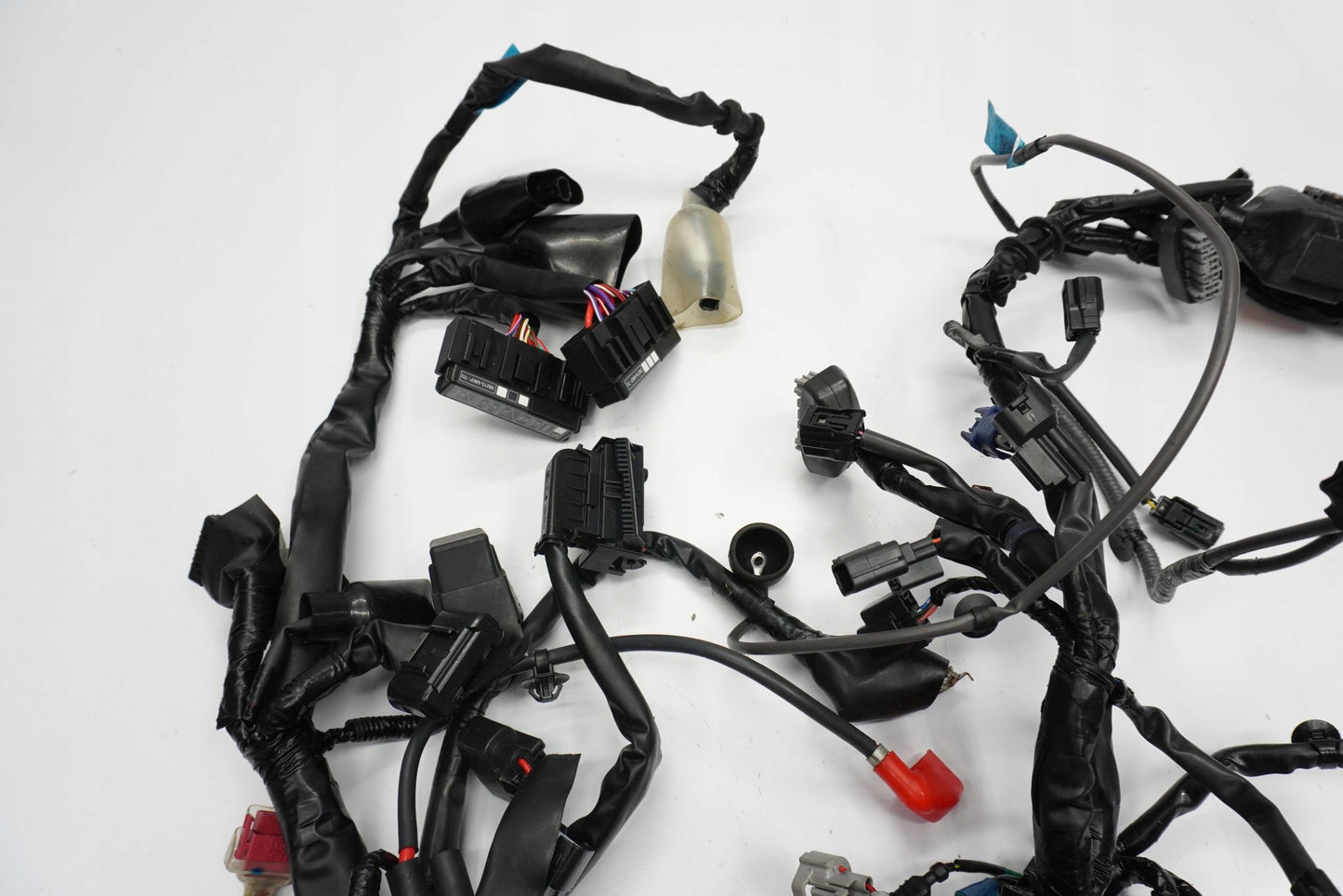 HONDA CB 500 F PC63 19-23 Kabelbaum Wiring Harness 11