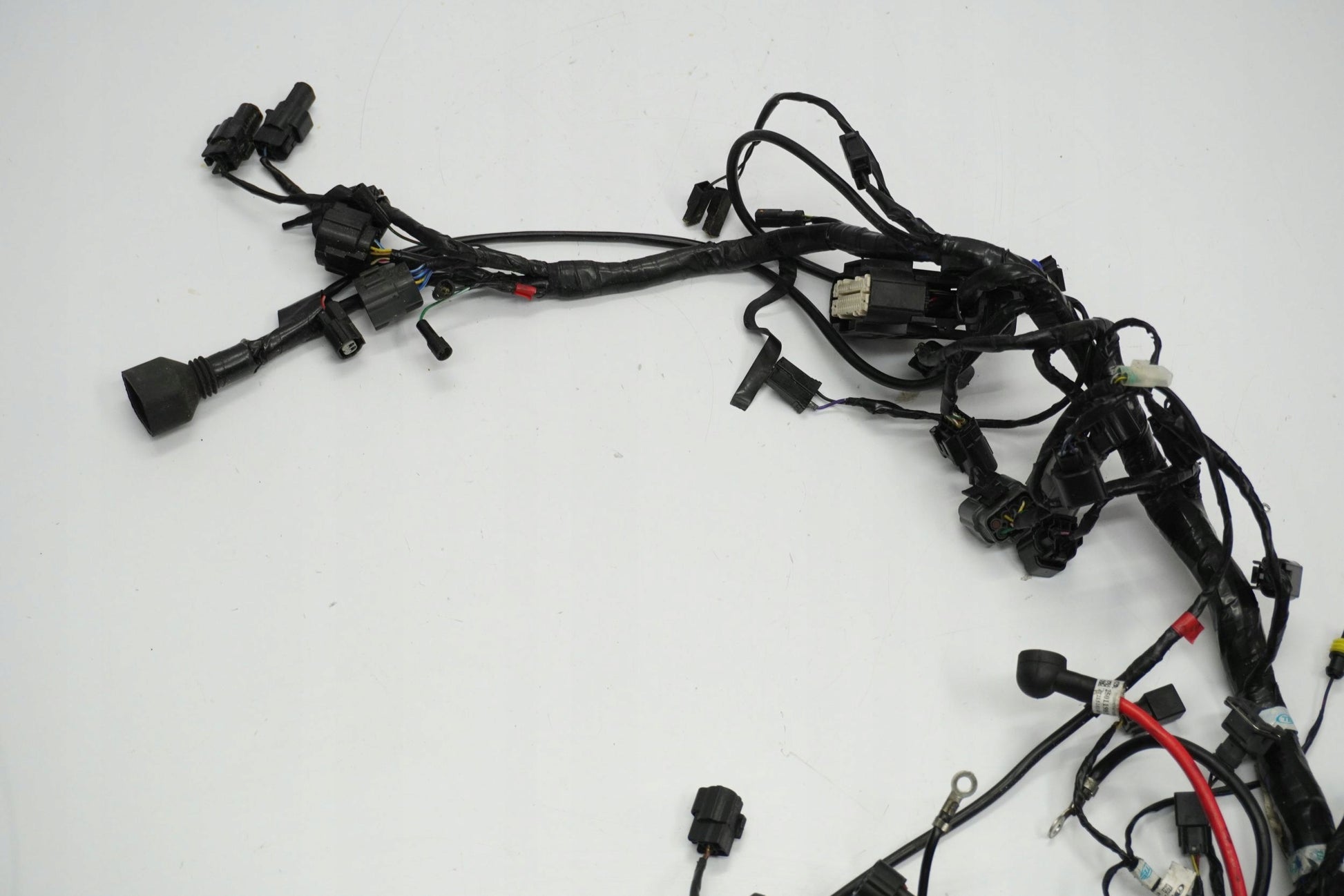 TRIUMPH TIGER 1200 XRT 16-17 Kabelbaum Wiring Harness 4