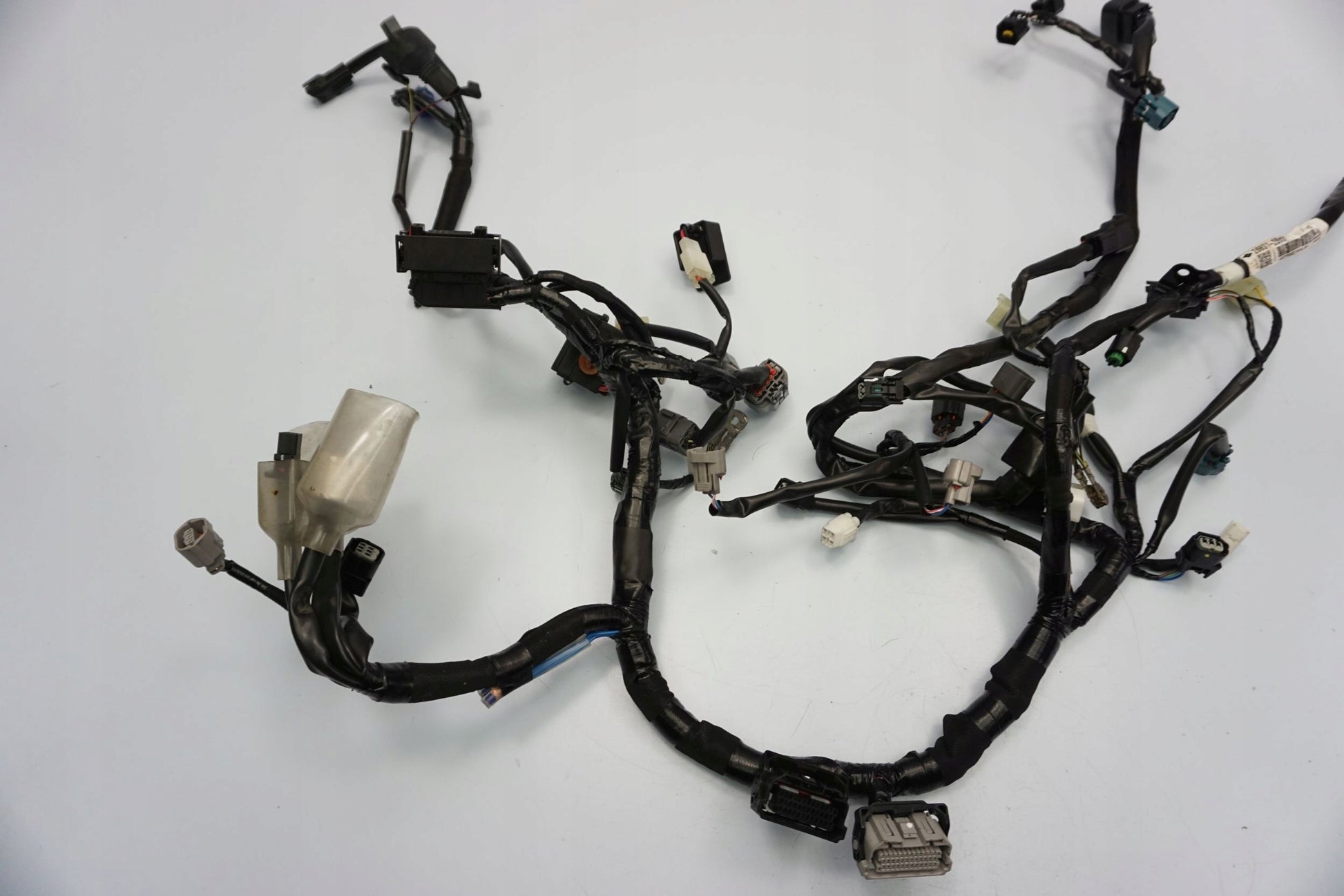 KAWASAKI Z 650 20-22 Kabelbaum Wiring Harness 10