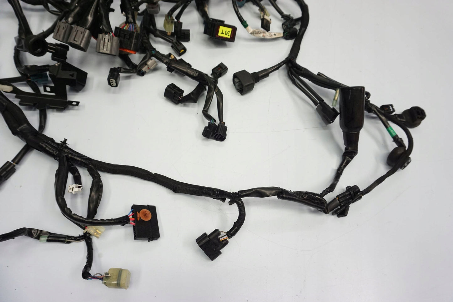 KAWASAKI Z-900 17-19 Kabelbaum Wiring Harness 5