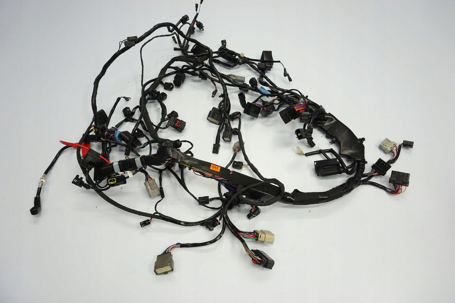 TRIUMPH TIGER 1200 RALLY EXPLORER 22- Kabelbaum Wiring Harness 5
