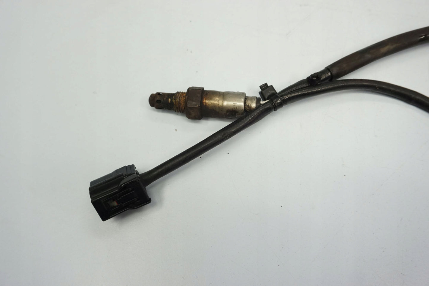 HONDA CBR 650 R 19-23 Lambdasonde O2 Sensor Sonde Sonda Lambda