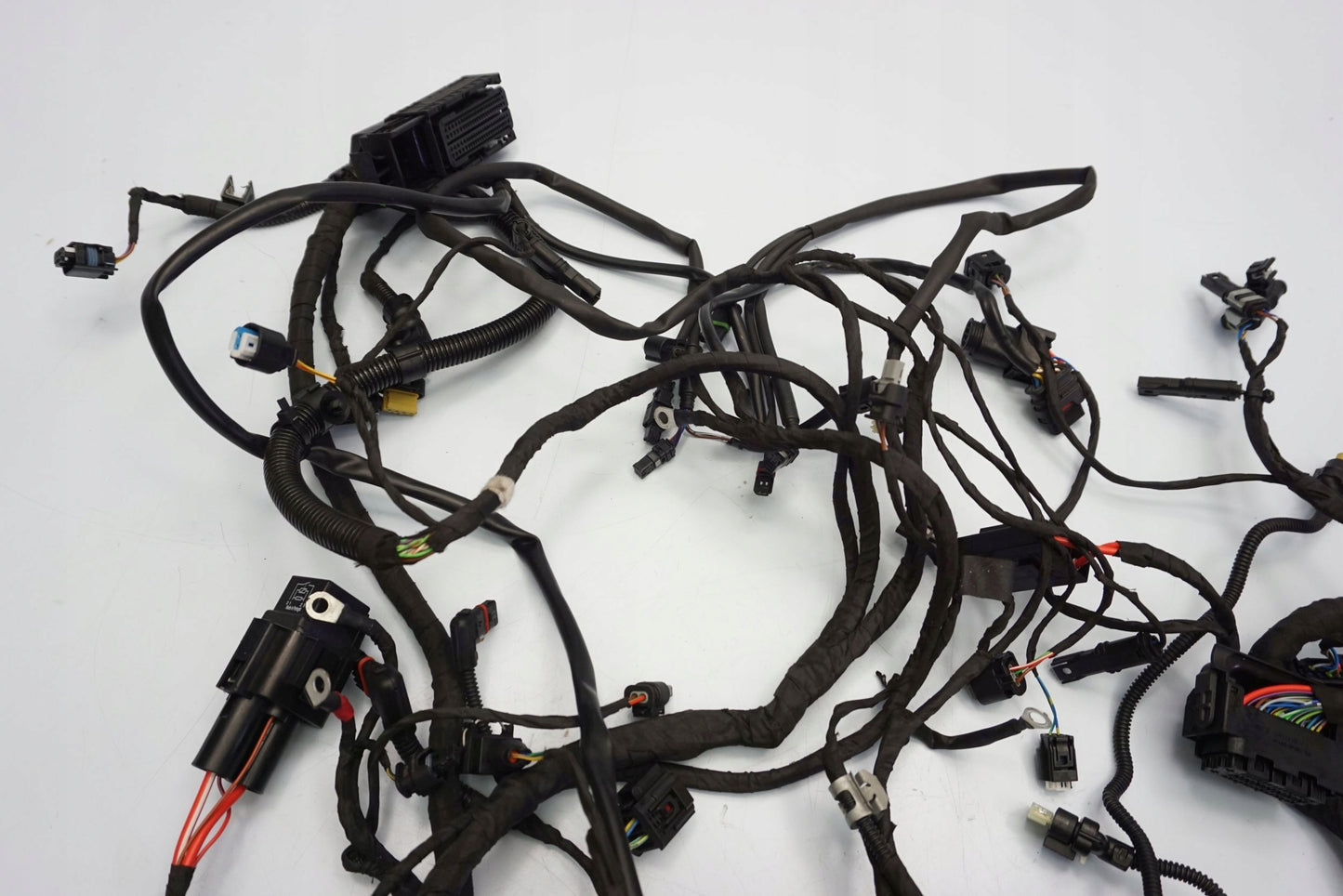 BMW F 900 R 20- Kabelbaum Wiring Harness 5