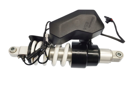 BMW R 1250 R 18- Stoßdämpfer Federbein shock absorber 1