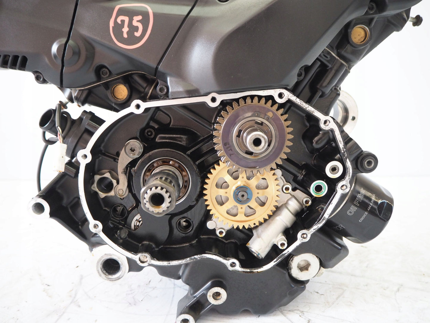 DUCATI MULTISTRADA 950 17-18 Motor Motorblock Engine 5