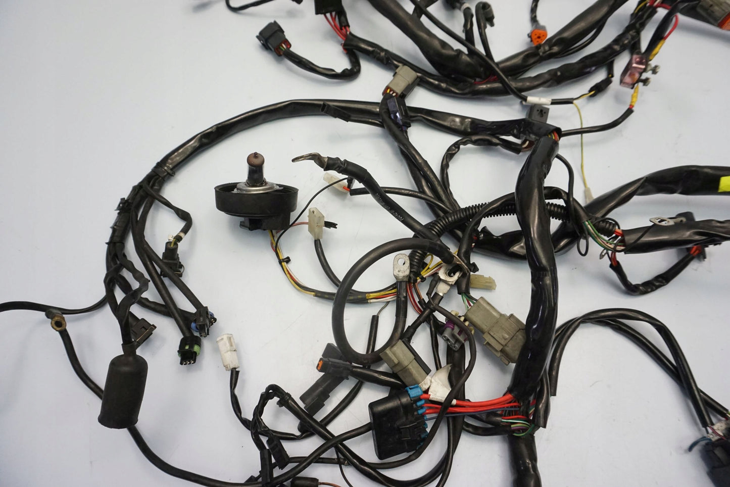 HARLEY DAVIDSON ROAD KING 1450 99-06 Kabelbaum Wiring Harness 6