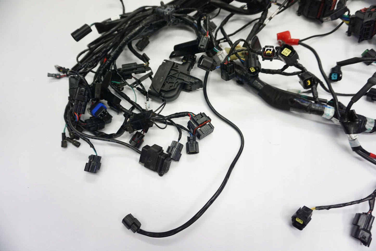 TRIUMPH TIGER 1200 XRT 18- Kabelbaum Wiring Harness 8