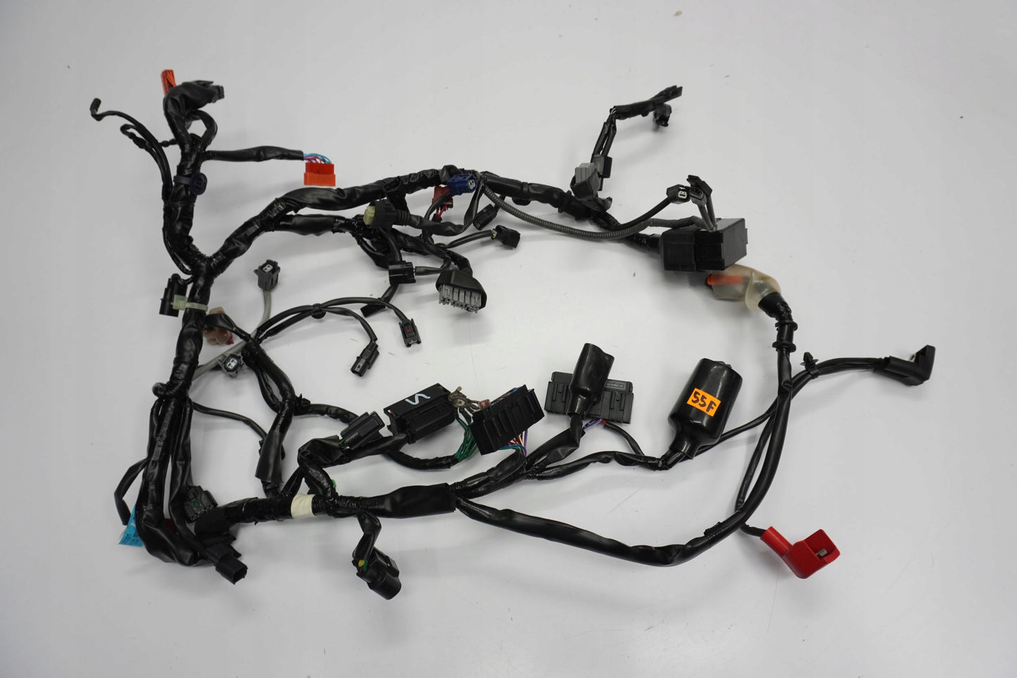 TRIUMPH STREET TRIPLE 765 17-19 Kabelbaum Wiring Harness 10