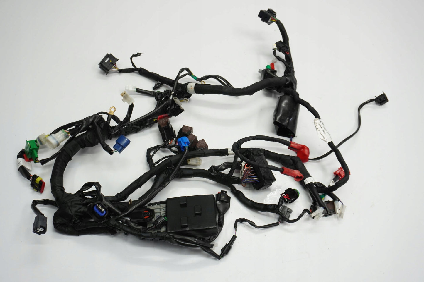 KTM RC 125 24- Kabelbaum Wiring Harness 10