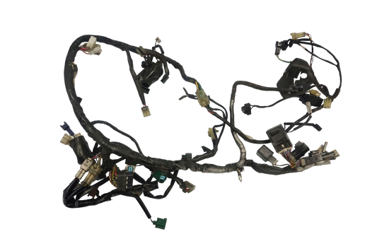 YAMAHA FZ6 FAZER 600 04-09 Kabelbaum Wiring Harness 1
