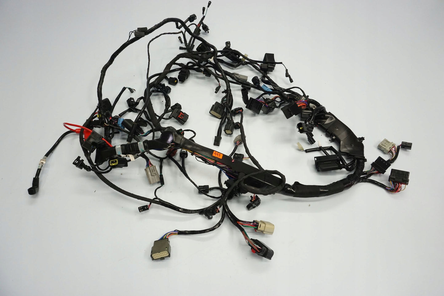 TRIUMPH TIGER 1200 RALLY EXPLORER 22- Kabelbaum Wiring Harness 3