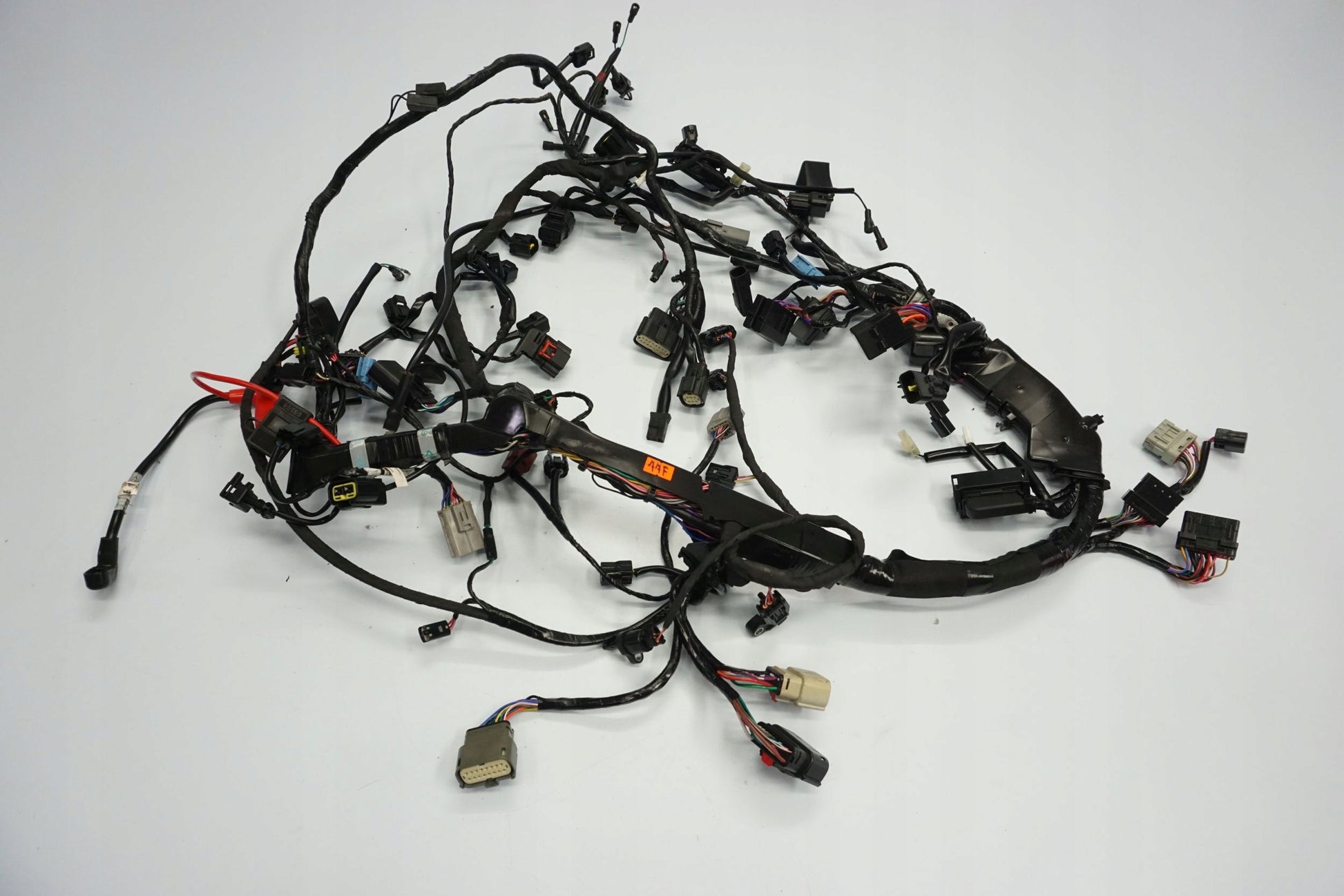 TRIUMPH TIGER 1200 RALLY EXPLORER 22- Kabelbaum Wiring Harness 3