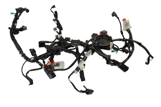 HONDA CB 125 R JC91 21- Kabelbaum Wiring Harness 1