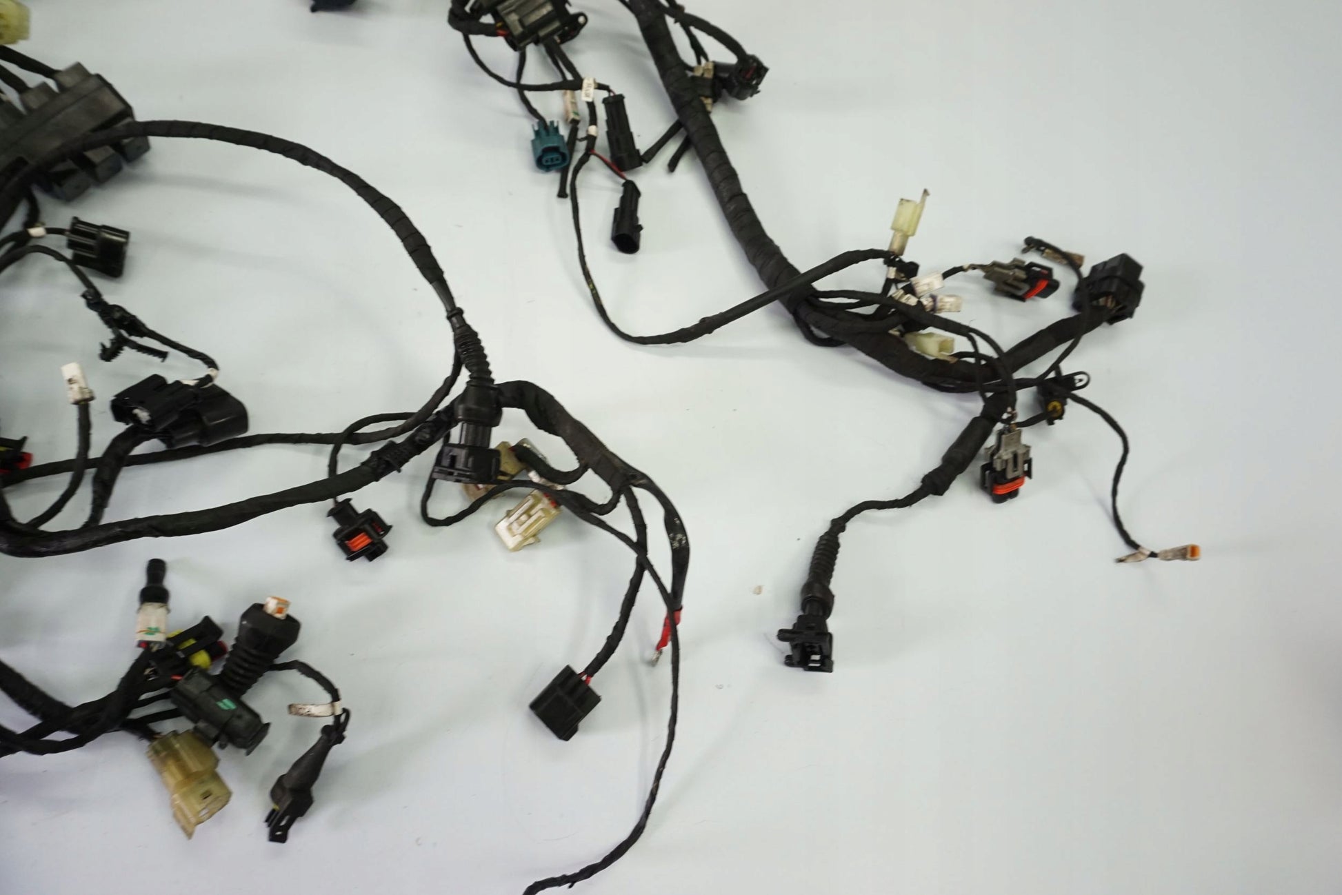 DUCATI SUPERSPORT 937 17- Kabelbaum Wiring Harness 14