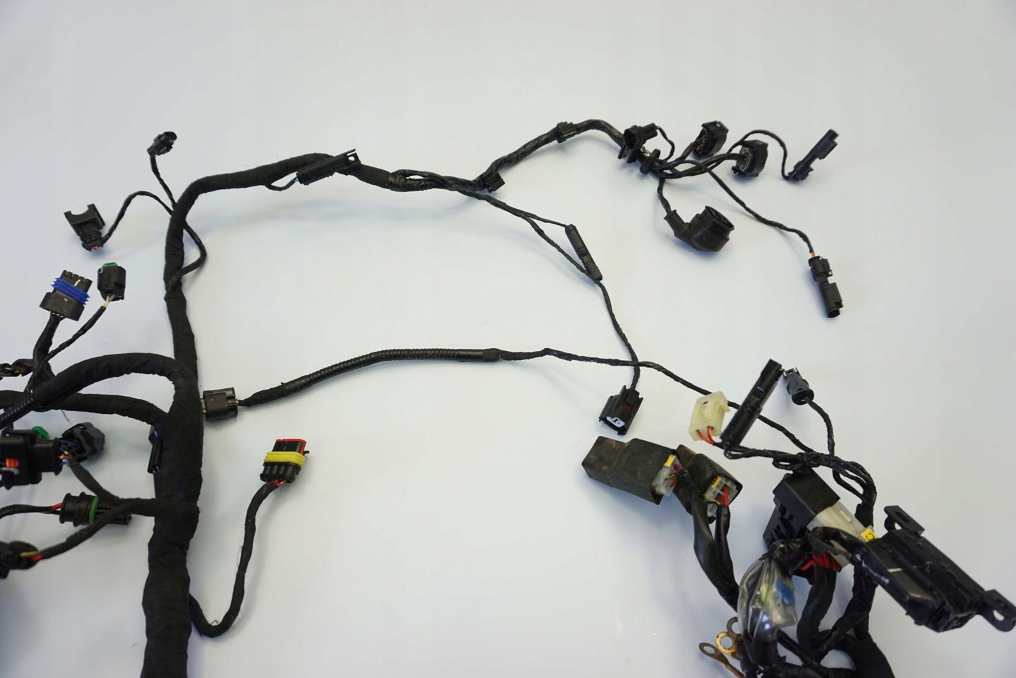 BMW G 310 GS 17- Kabelbaum Wiring Harness 10