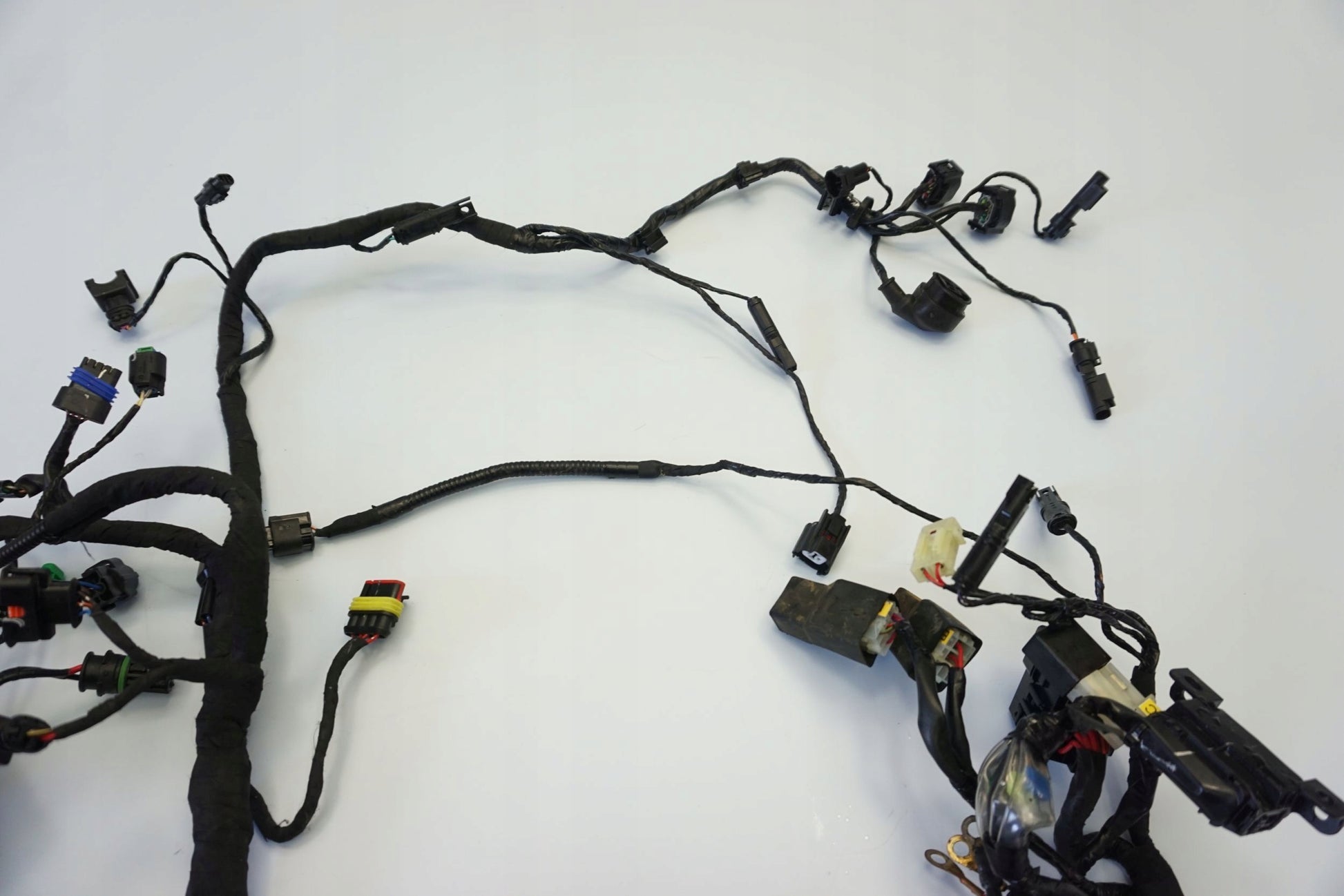 BMW G 310 GS 17- Kabelbaum Wiring Harness 10