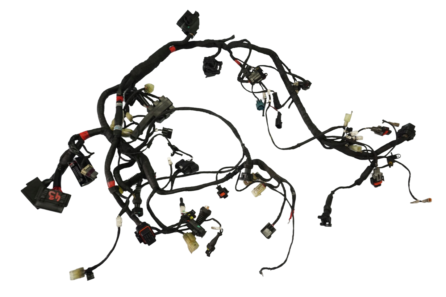 DUCATI SUPERSPORT 937 17- Kabelbaum Wiring Harness 1