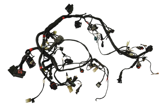 DUCATI SUPERSPORT 937 17- Kabelbaum Wiring Harness 1