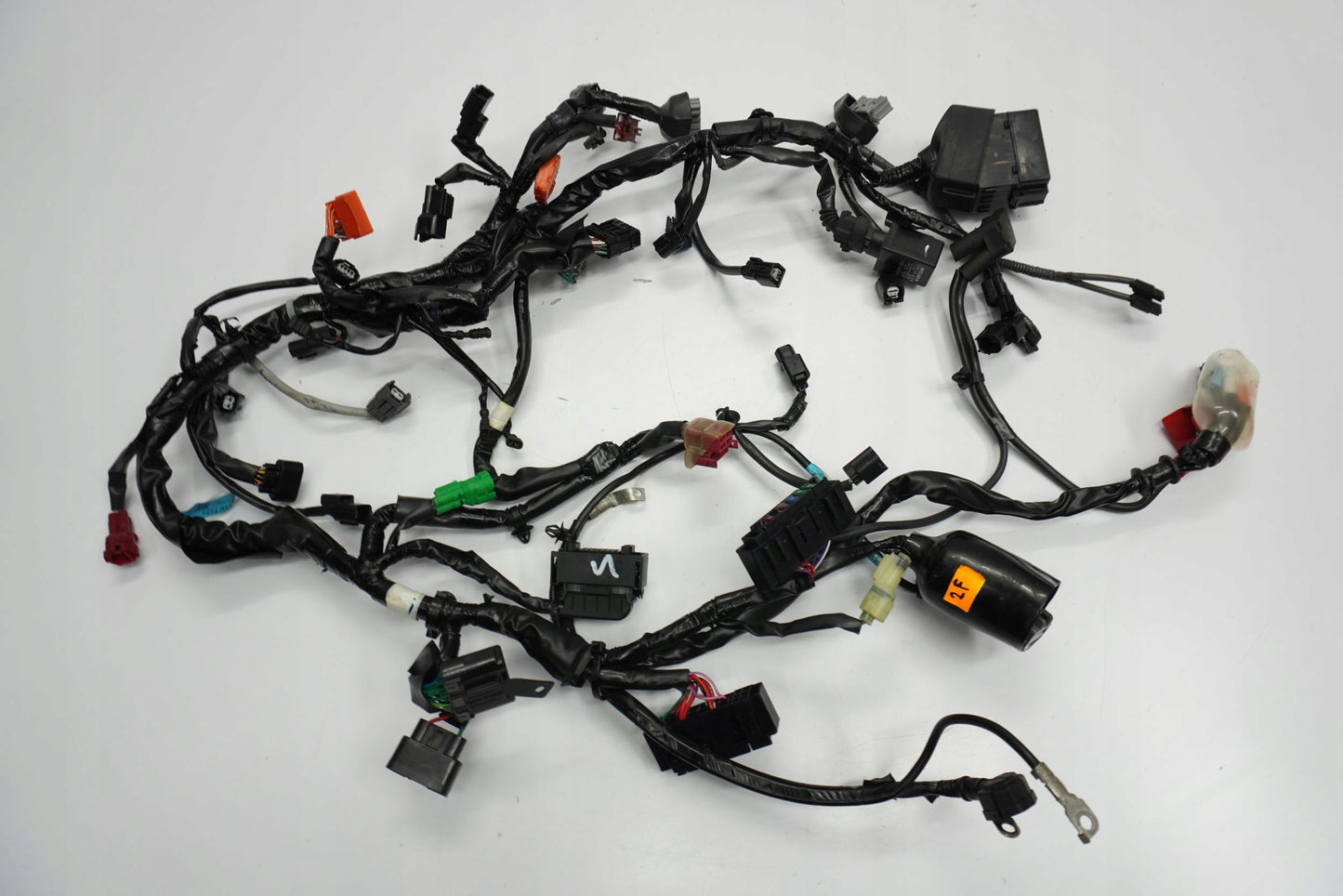 TRIUMPH STREET TRIPLE 765 17-19 Kabelbaum Wiring Harness 3