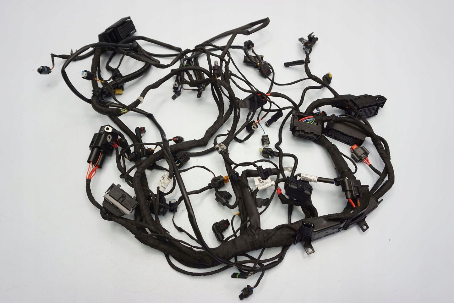 BMW F 900 R 20- Kabelbaum Wiring Harness 2