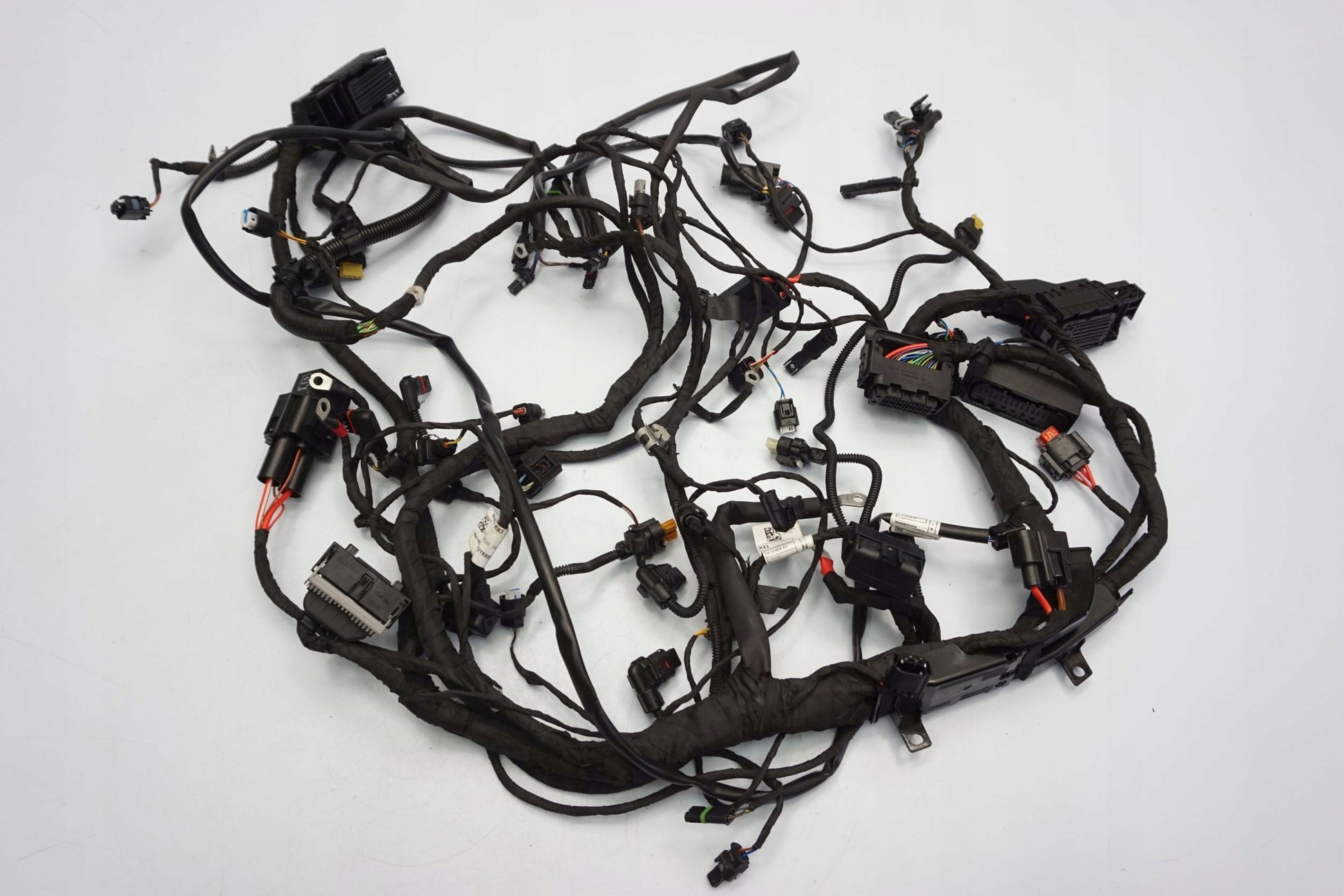 BMW F 900 R 20- Kabelbaum Wiring Harness 2