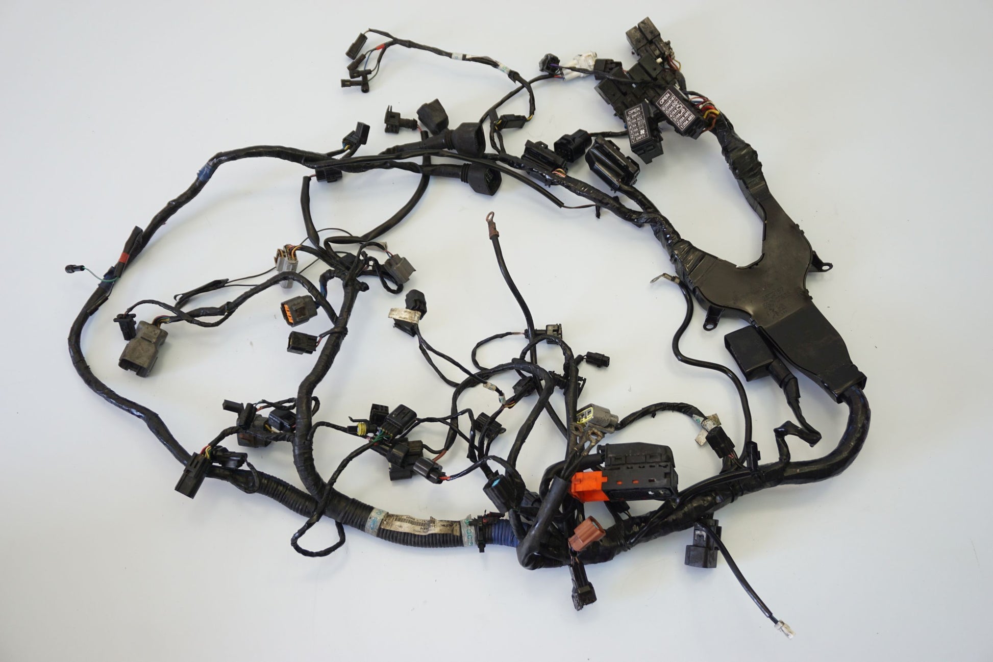 TRIUMPH TIGER SPORT 1050 16- Kabelbaum Wiring Harness 11