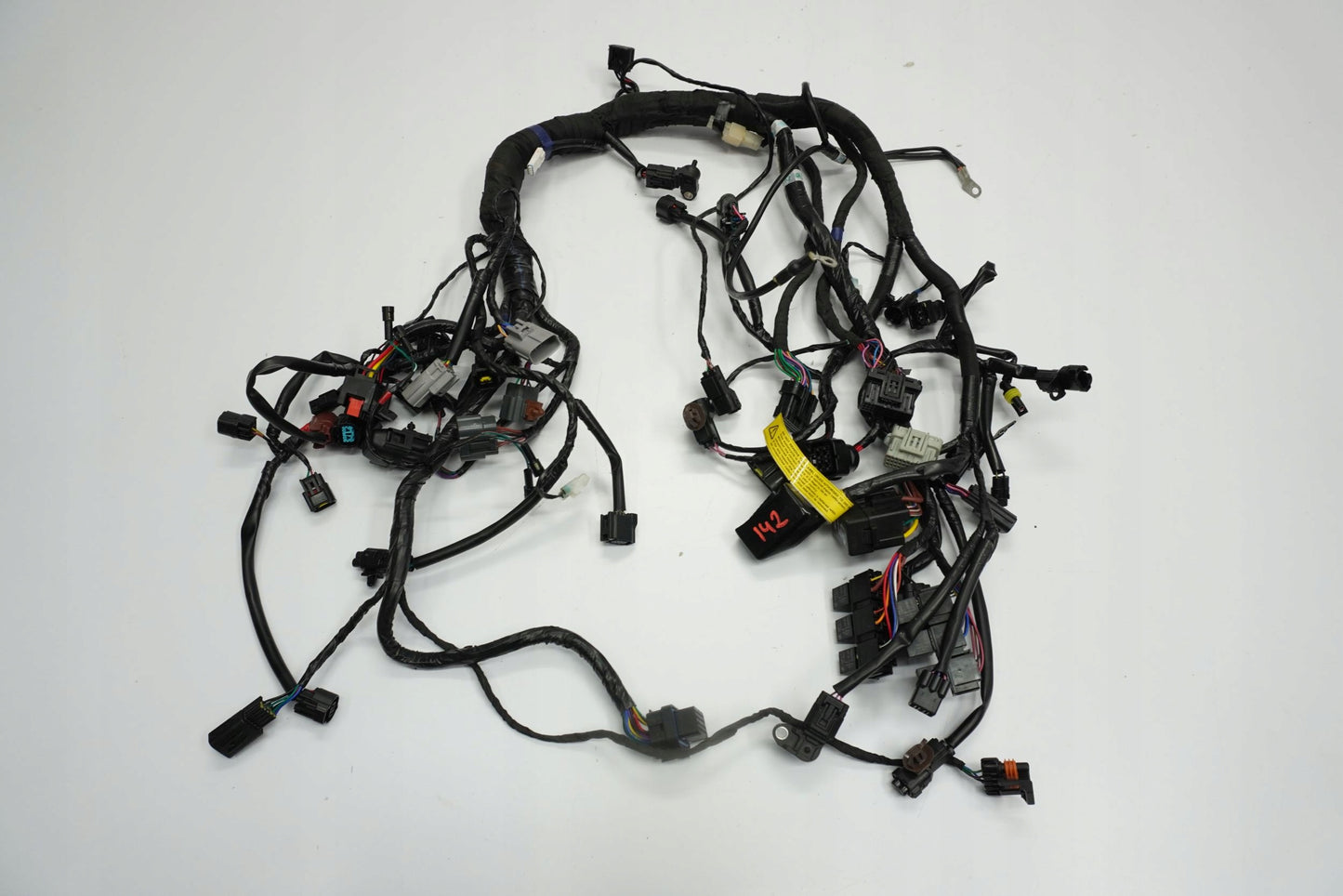 TRIUMPH TRIDENT 660 21- Kabelbaum Wiring Harness 13