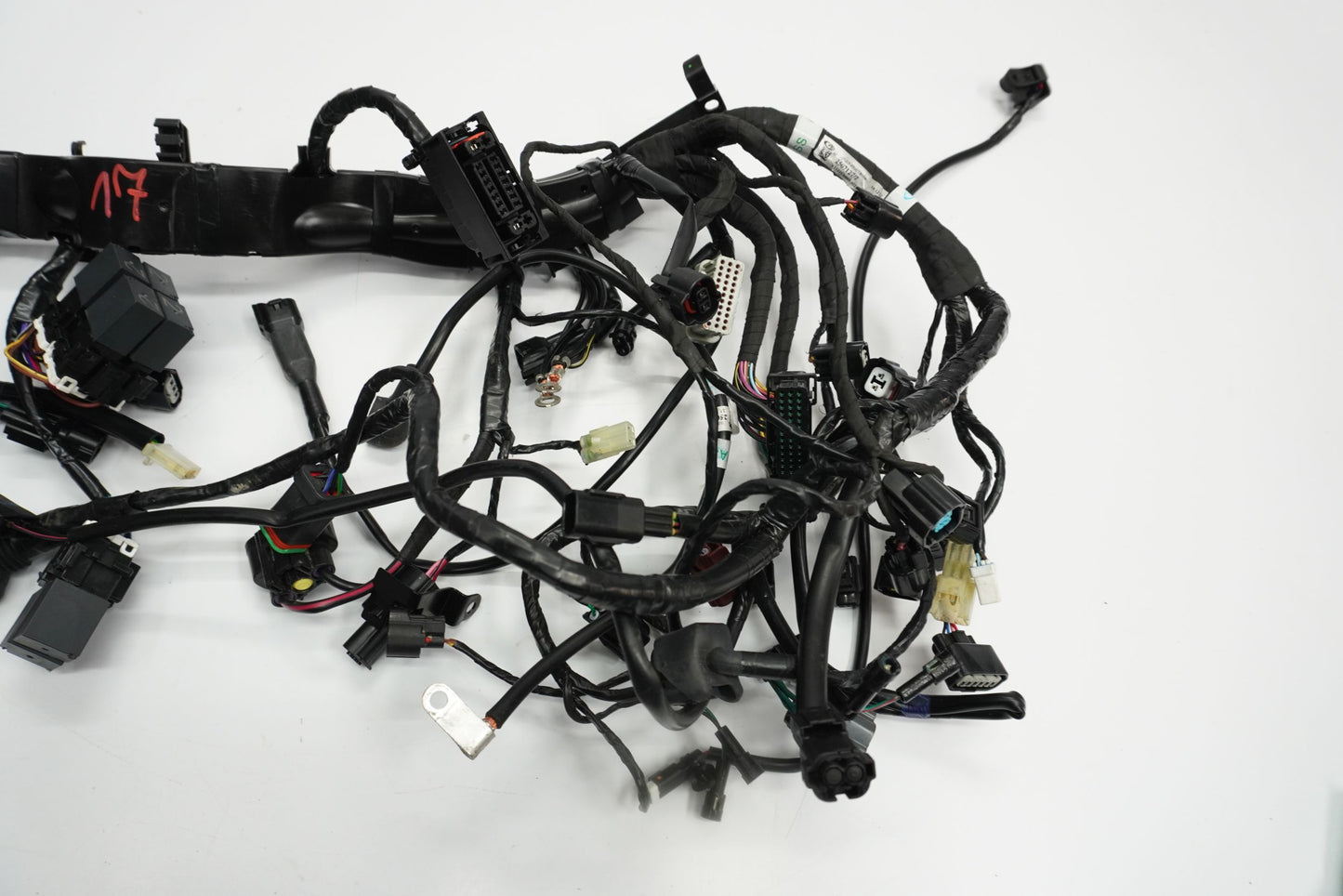 TRIUMPH STREET TRIPLE 660 S 17- Kabelbaum Wiring Harness 6
