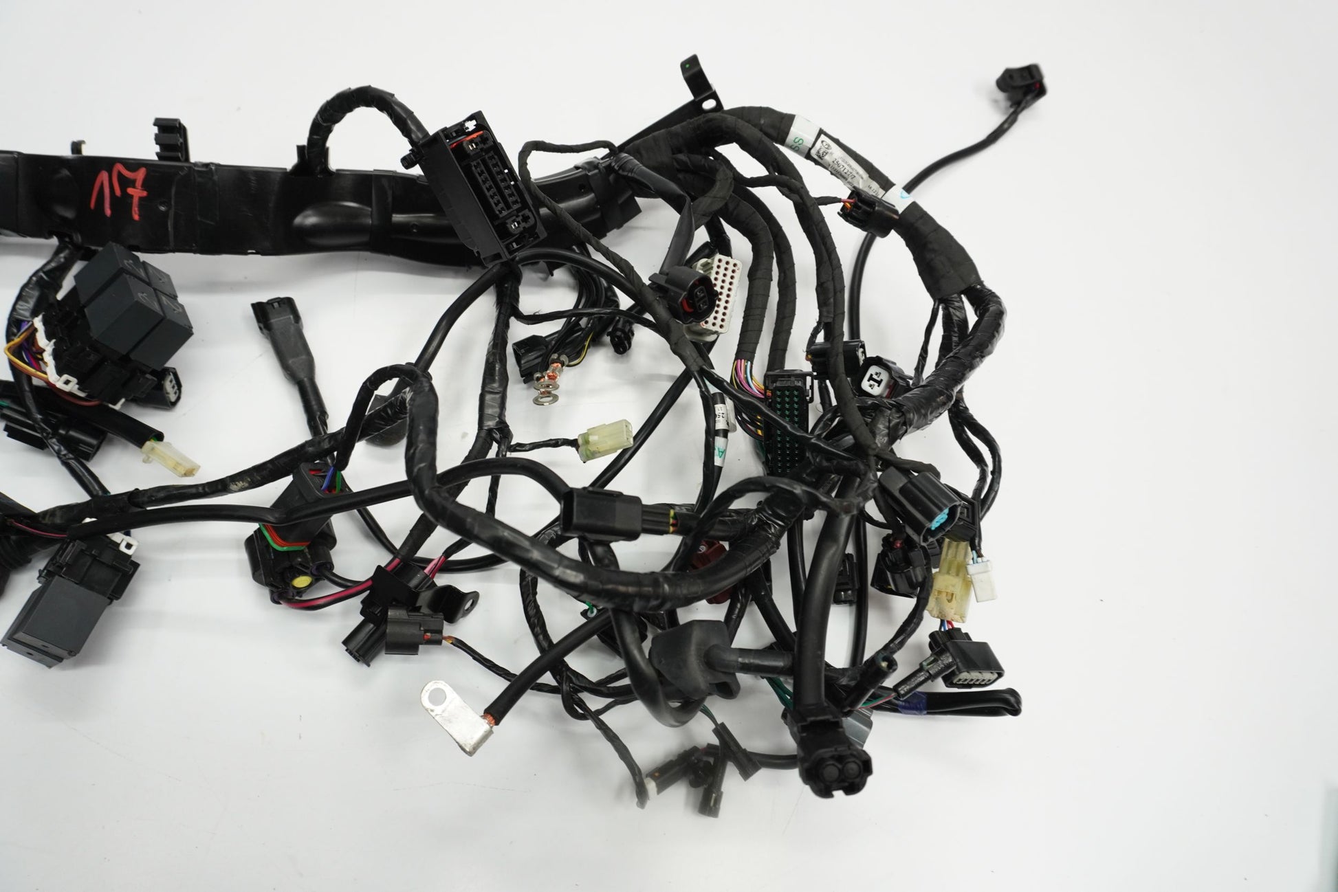 TRIUMPH STREET TRIPLE 660 S 17- Kabelbaum Wiring Harness 6