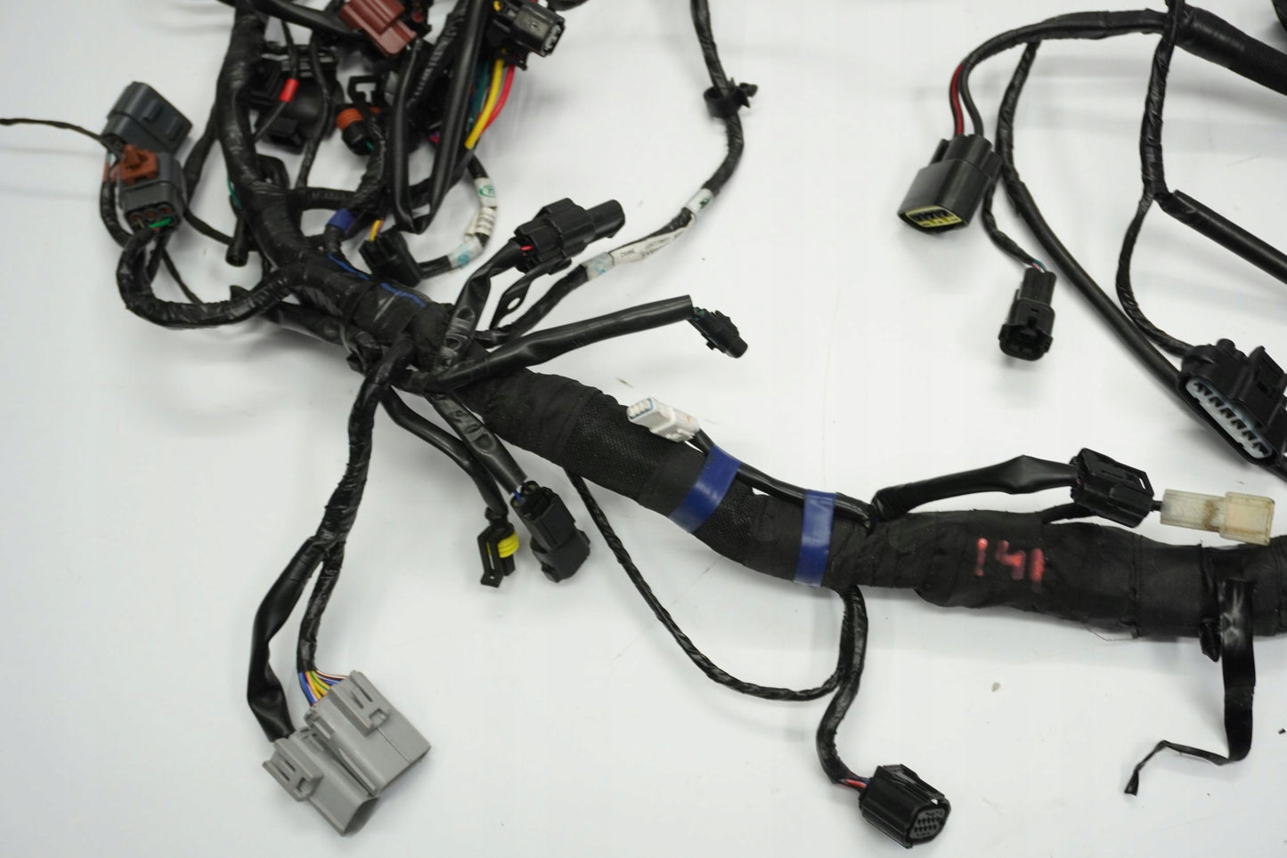 TRIUMPH TRIDENT 660 21- Kabelbaum Wiring Harness 4