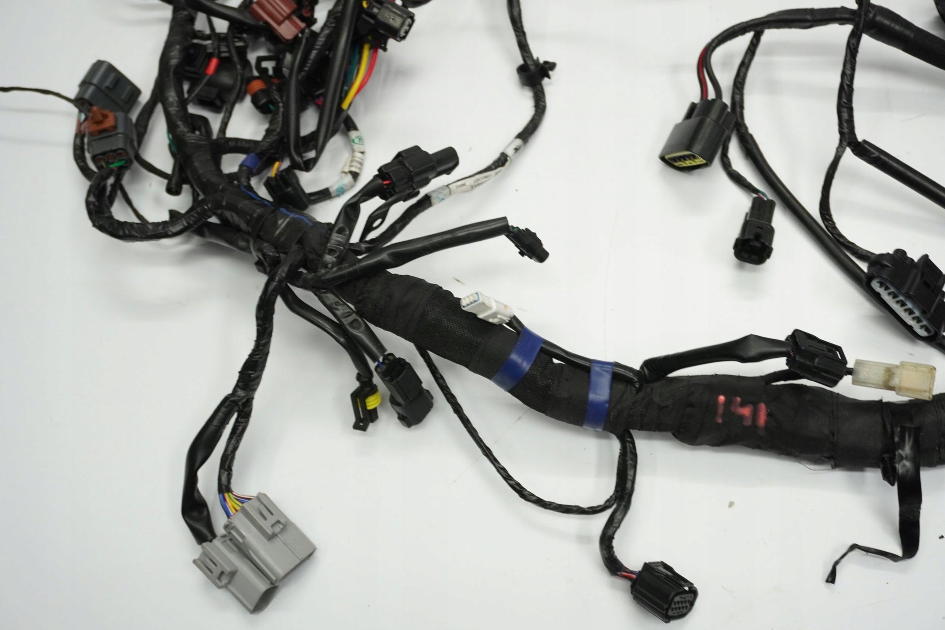 TRIUMPH TRIDENT 660 21- Kabelbaum Wiring Harness 4