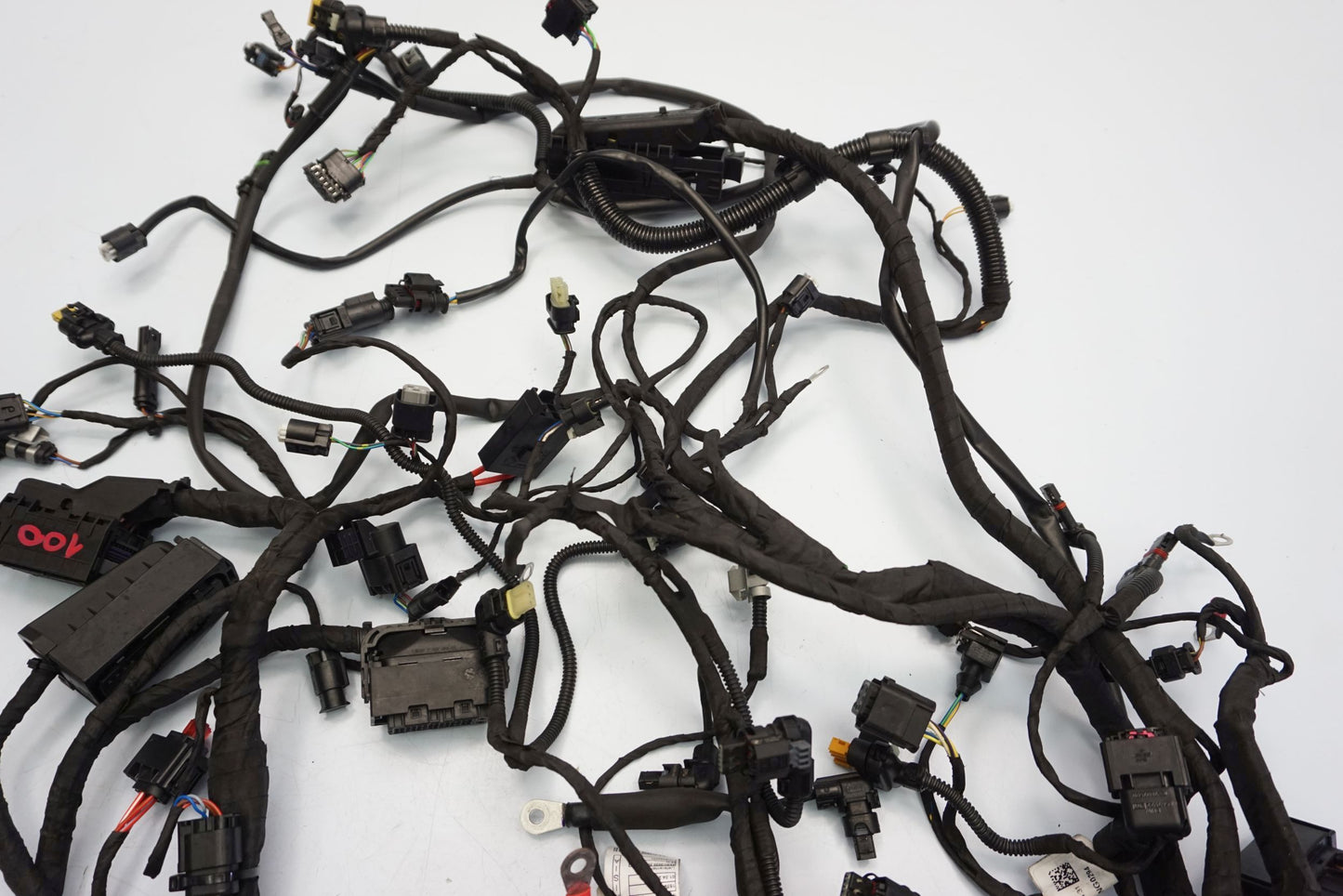 BMW F 900 R 20- Kabelbaum Wiring Harness 10