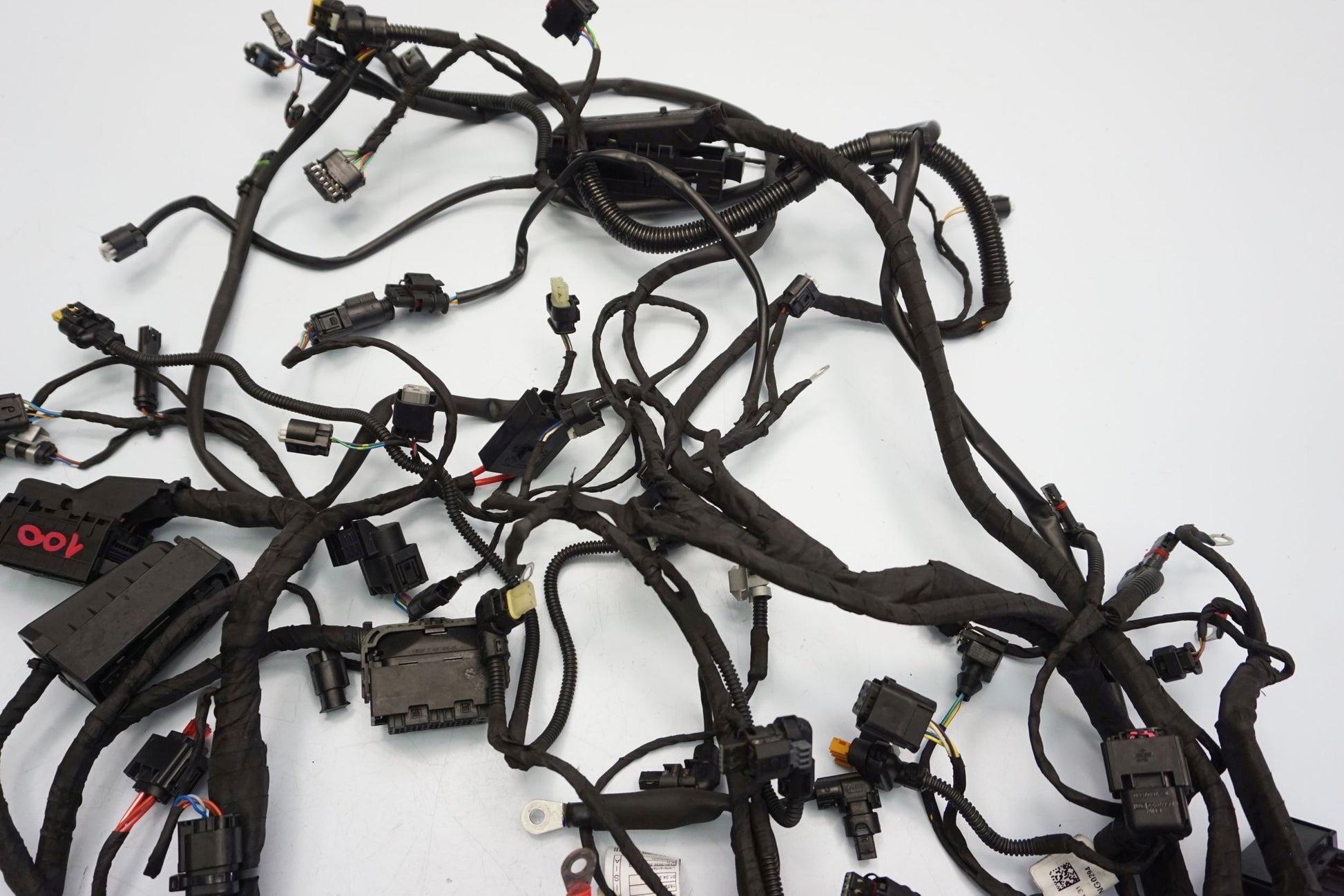 BMW F 900 R 20- Kabelbaum Wiring Harness 10