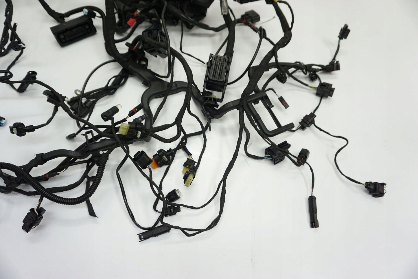 BMW R 1250 R 18- Kabelbaum Wiring Harness 8