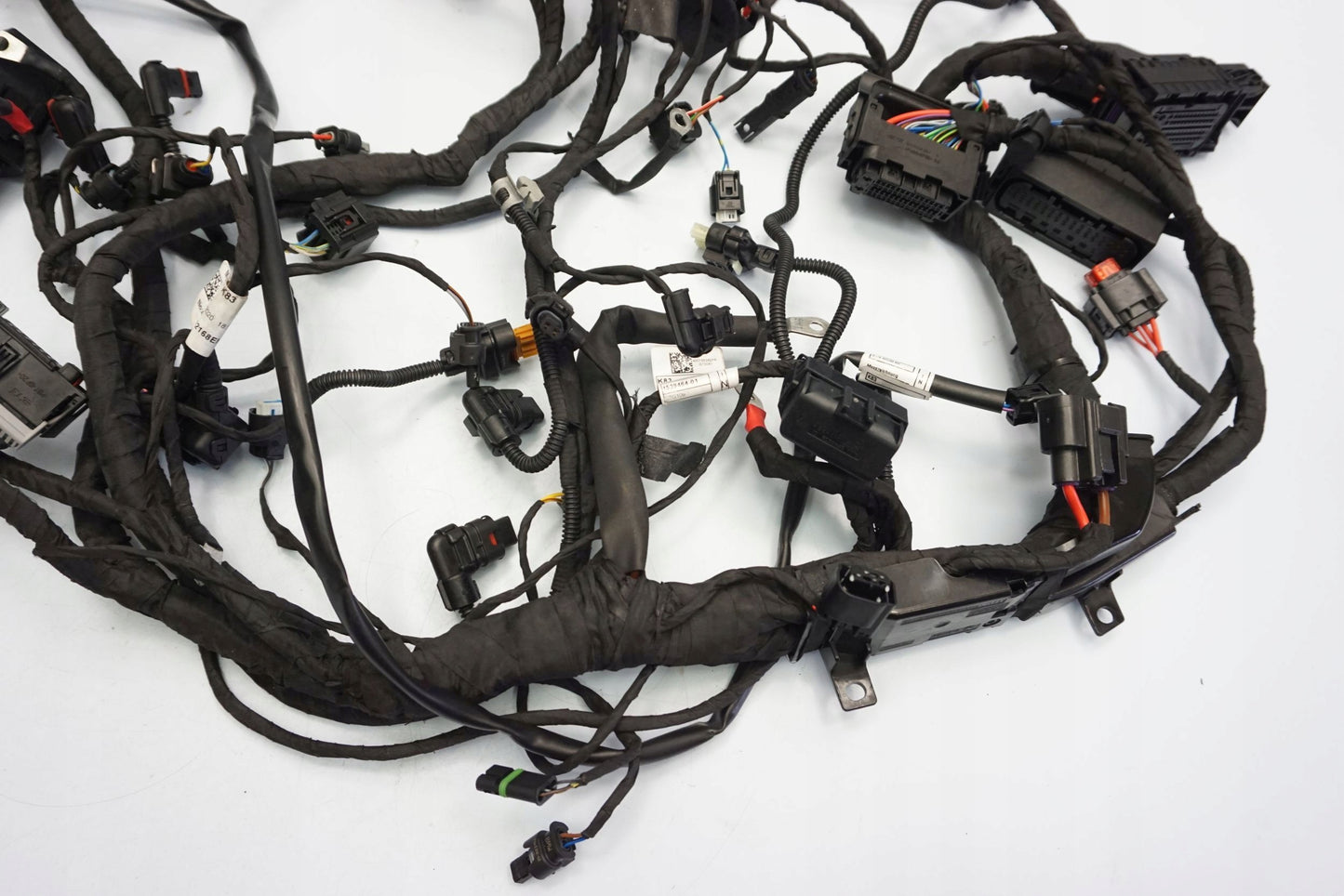 BMW F 900 R 20- Kabelbaum Wiring Harness 9
