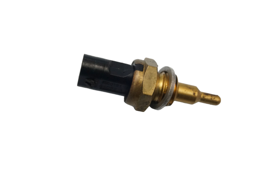 BMW F 900 R 20- Temperatursensor Thermostat Temperature sensor